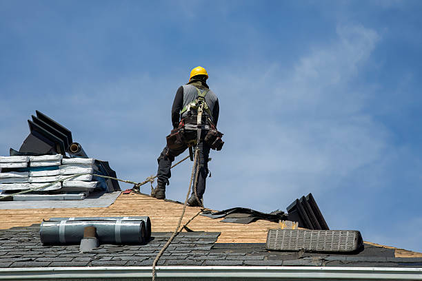 Professional Gutter Installation technician working in Buffalo Prairie, IL